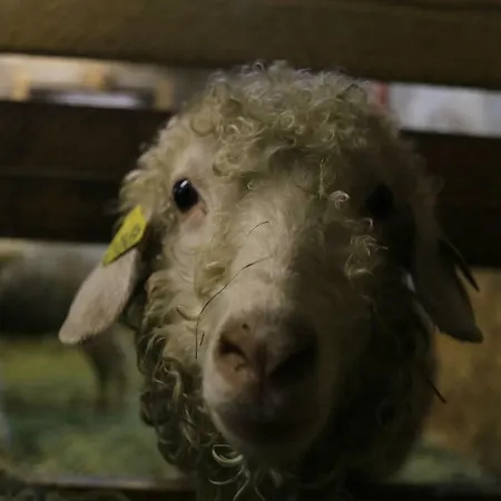 La Ferme Sous Les Hiez
