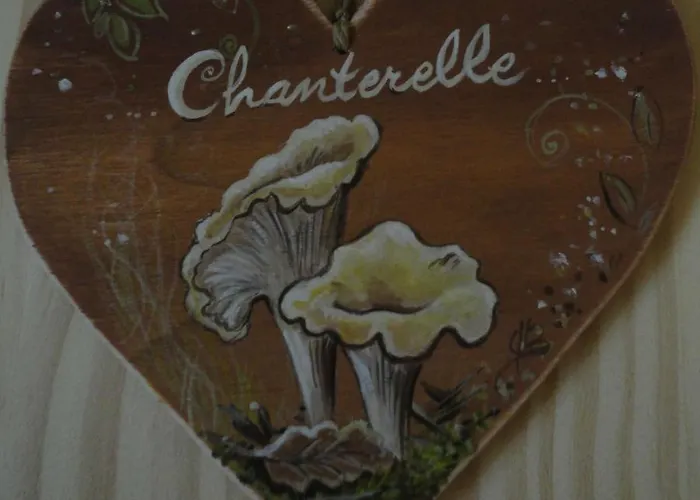 La Ferme Sous Les Hiez Pensionat Cornimont