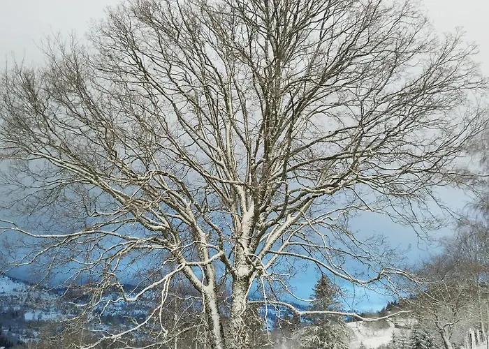 La Ferme Sous Les Hiez Gasthuis Cornimont