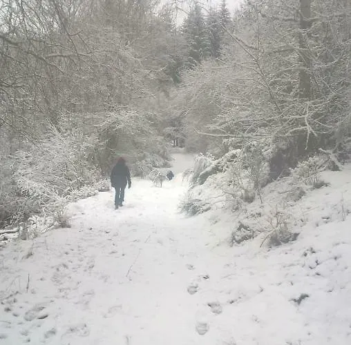 La Ferme Sous Les Hiez 3*