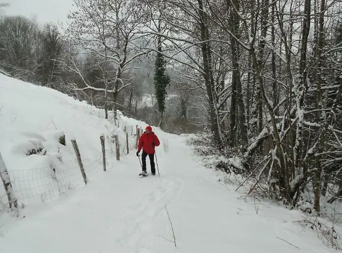 La Ferme Sous Les Hiez